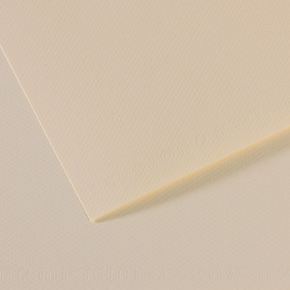 Бумага для пастели Mi-Teintes 160г/м.кв 50*65см №110, лилия, 10л
